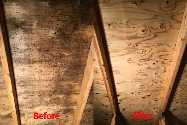 water damage restoration service Elk River